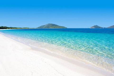 Tea Gardens And Hawks Nest Beach Bus Guided Tour - Darwin Holiday 2