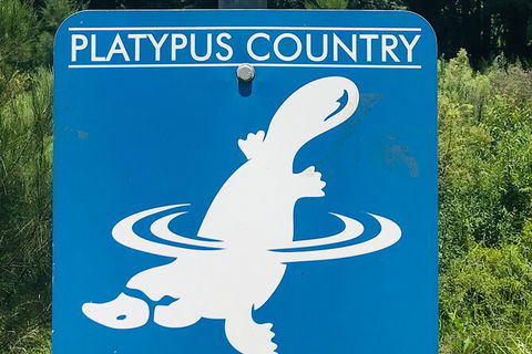 Tea Gardens And Hawks Nest Beach Bus Guided Tour - Darwin Holiday 6