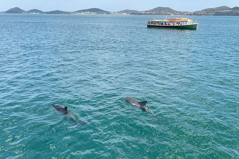 Tea Gardens And Hawks Nest Beach Bus Guided Tour - Darwin Holiday 12