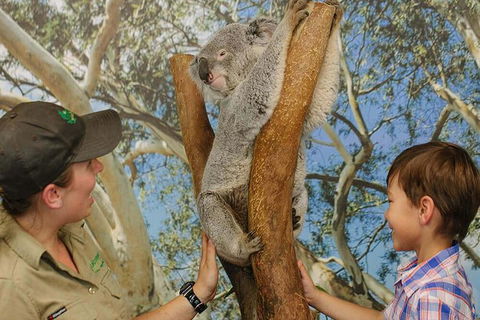 Private Blue Mountains High Country Day Trip From Sydney - Darwin Holiday 5