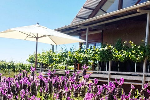 Cheese & Wine Tasting In Yenda - Darwin Holiday 5