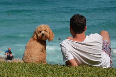 See Sydney With A Local: Private & Personalized - Darwin Holiday 4