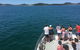 Port Stephens Private Bus Tour From Sydney, Option Of Dolphin Or Whale Cruises - thumb 3