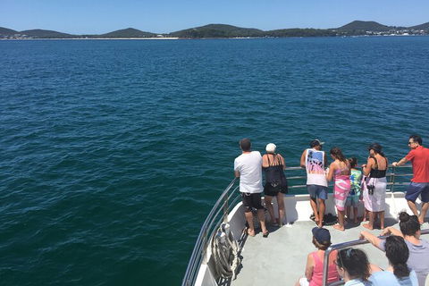 Port Stephens Private Bus Tour From Sydney, Option Of Dolphin Or Whale Cruises - Darwin Holiday 3