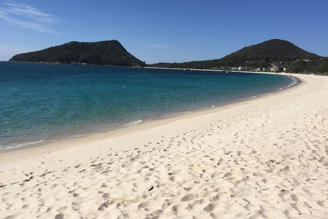 Port Stephens Private Bus Tour From Sydney, Option Of Dolphin Or Whale Cruises - Darwin Holiday 1