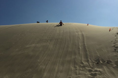 Port Stephens Private Bus Tour From Sydney, Option Of Dolphin Or Whale Cruises - Darwin Holiday 6