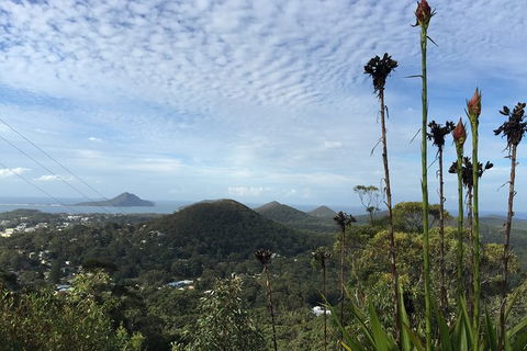 Port Stephens Private Bus Tour From Sydney, Option Of Dolphin Or Whale Cruises - Darwin Holiday 4