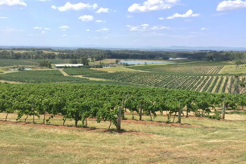 Hunter Valley Wine Tasting All Inclusive Private Bus Tour From Sydney - Darwin Holiday 6