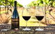 Hunter Valley Wine Tasting All Inclusive Private Bus Tour From Sydney - thumb 3