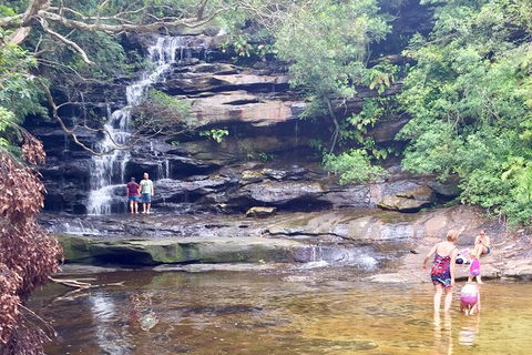 Central Coast Private Tour From Sydney, Plus Included Australian Reptile Park - Darwin Holiday 6