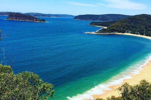 Central Coast Private Tour From Sydney, Plus Included Australian Reptile Park - Darwin Holiday 0