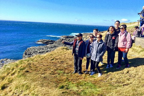 Southern Highlands & South Coast All Inclusive Private Tour From Sydney - Darwin Holiday 3