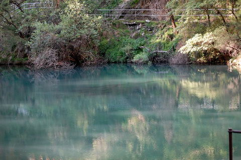 Jenolan Caves - Wildlife And Caves - Darwin Holiday 1