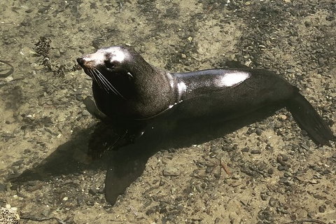 South Coast Photography Field Day - Darwin Holiday 5