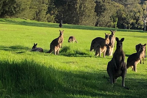 South Coast Photography Field Day - Darwin Holiday 6