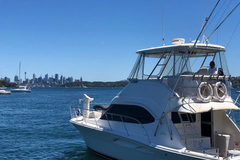 Sydney Harbour Side Restaurant Dinner And Twilight Cruise - Darwin Holiday 2