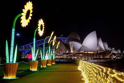 Private Vivid Sydney Harbour Cruise For Up To 20 Guests - Darwin Holiday 6