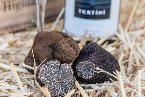 Truffle Hunts With Lunch - Southern Highlands - Darwin Holiday 0