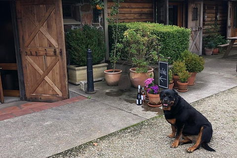 Wine Wine Fine Dine - Southern Highlands - Darwin Holiday 1