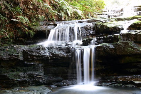 Private 10-hour Tour To Blue Mountains From Sydney - Hotel Pick Up & Drop Off - Darwin Holiday 6