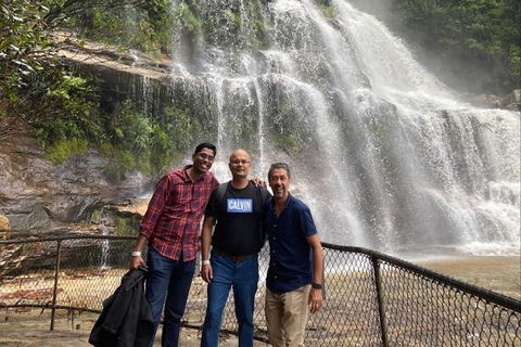 Blue Mountains Highlights & Wildlife Park - Darwin Holiday 4