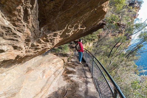Blue Mountains Highlights & Wildlife Park - Darwin Holiday 0