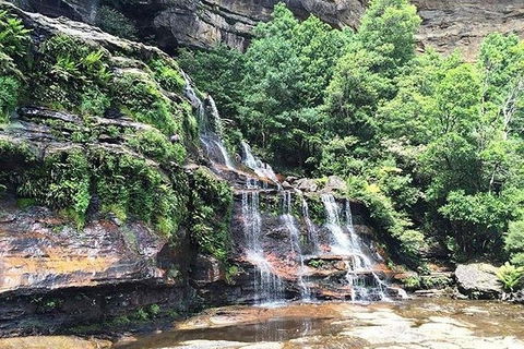 Blue Mountains Highlights & Wildlife Park - Darwin Holiday 8