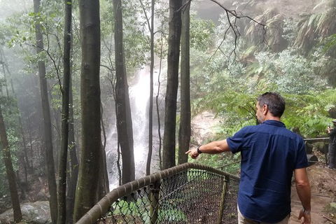Blue Mountains Highlights, Wildlife Park And Scenic World Full Day Private Tour - Darwin Holiday 6