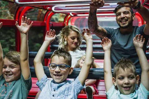 Blue Mountains Highlights, Wildlife Park And Scenic World Full Day Private Tour - Darwin Holiday 5