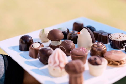 Hunter Valley Highlights Private Wine Tour From Sydney - Darwin Holiday 7