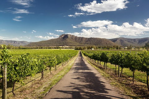 Hunter Valley Highlights Private Wine Tour From Sydney - Darwin Holiday 2