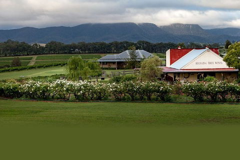 Hunter Valley Highlights Private Wine Tour From Sydney - Darwin Holiday 5