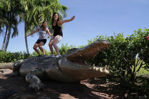 Jumping Crocs & Nature Adventure Cruise From Darwin - Darwin Holiday 5