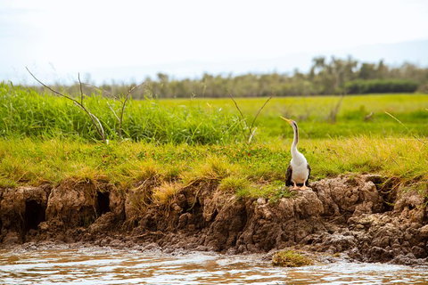 Jumping Crocs & Nature Adventure Cruise From Darwin - Darwin Holiday 4