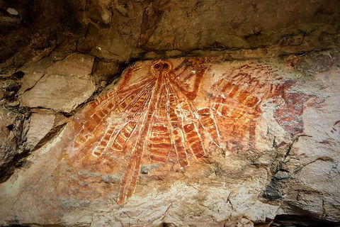 Arnhem Land Injalak Hill Full-Day Tour From Jabiru - Darwin Holiday 2