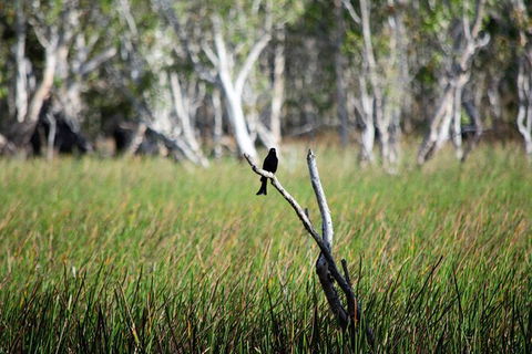 ETHICAL ADVENTURES - Dry Season Litchfield Region, Max 10 Guests - Darwin Holiday 2