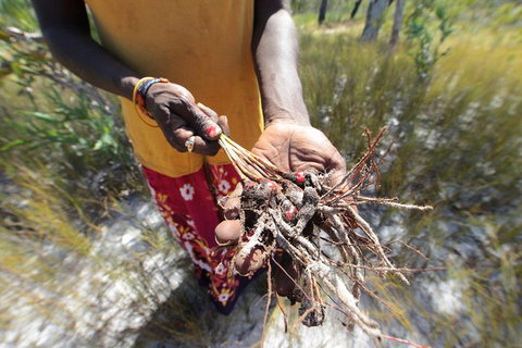Gay-Wu Woman\'s 5 Day Yolngu Homeland Tour - Darwin Holiday 10