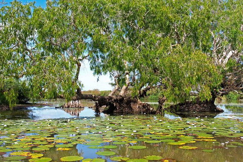 Ethical Adventures - Kakadu 2 Day- Max 10 Guests - Darwin Holiday 10
