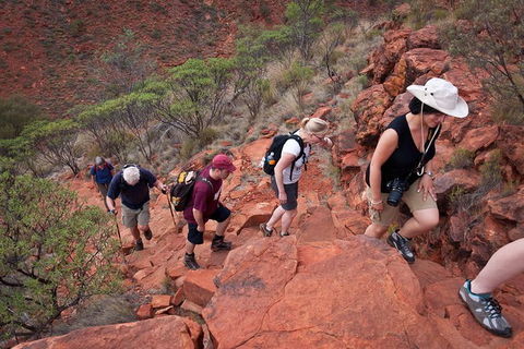 Uluru, Kata Tjuta And Kings Canyon Camping Safari From Alice Springs - Darwin Holiday 3