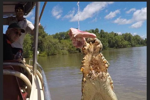 Pathfinder Jumping Crocodile Cruise Shuttle Bus - Darwin Holiday 7