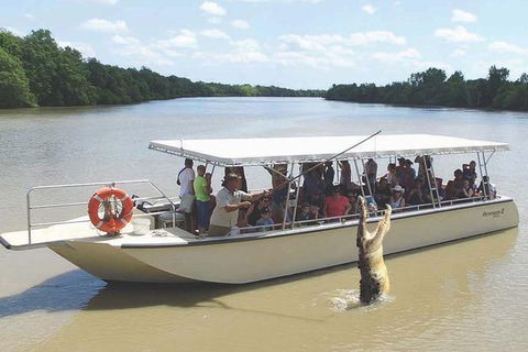Pathfinder Jumping Crocodile Cruise Shuttle Bus - Darwin Holiday 1