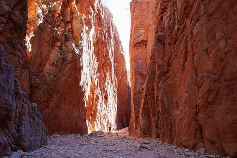 Best Of Alice Springs Full Day Tour - Darwin Holiday 6