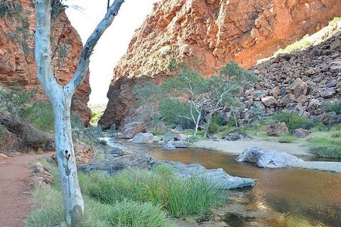 Alice Springs, Uluru Ayers Rock & Kings Canyon 8 Days Touring Package - Darwin Holiday 2