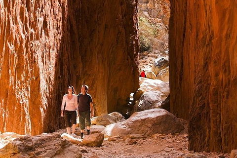 Alice Springs, Uluru Ayers Rock & Kings Canyon 8 Days Touring Package - Darwin Holiday 5