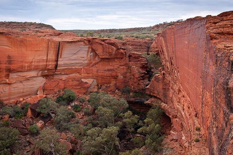 Uluru, Kata Tjuta And Kings Canyon Camping Safari From Ayers Rock - Darwin Holiday 0