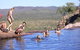 Kakadu, Katherine & Litchfield Adventure - thumb 0
