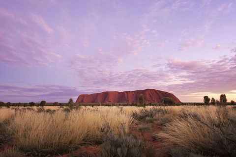 Explore Uluru: 7 Hours Guide Tour At Sunrise With Light Breakfast - Darwin Holiday 4