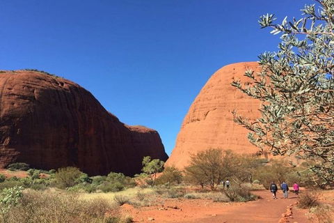 5-Hour Kata Tjuta Sunrise Tour From Ayers Rock With Breakfast - Darwin Holiday 2