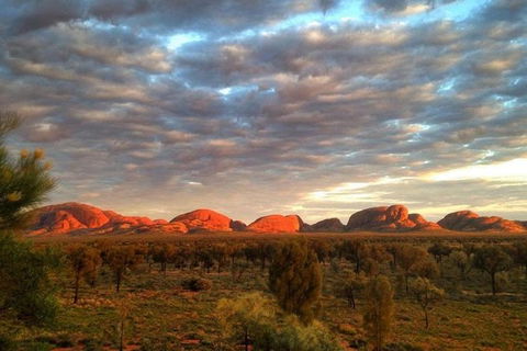 5-Hour Kata Tjuta Sunrise Tour From Ayers Rock With Breakfast - Darwin Holiday 0