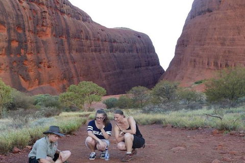 5-Hour Kata Tjuta Sunrise Tour From Ayers Rock With Breakfast - Darwin Holiday 3